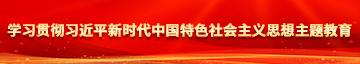 大鸡吧插小骚逼喷水视频学习贯彻习近平新时代中国特色社会主义思想主题教育